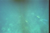 Taylor Scuba Diving 10